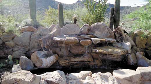 dreaming by desing water feature